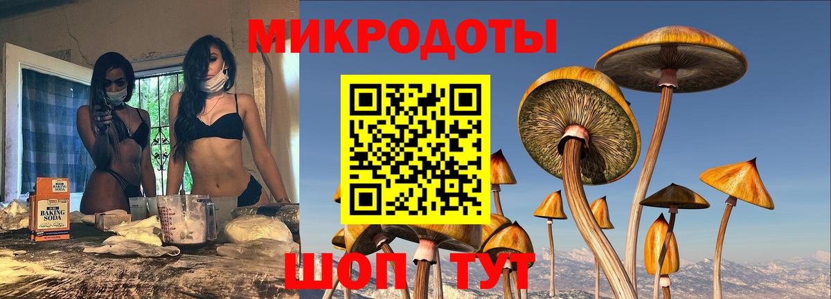 Галлюциногенные грибы Psilocybe  Галлюциногенные грибы Psilocybe  Вход с VPN  Моздок 