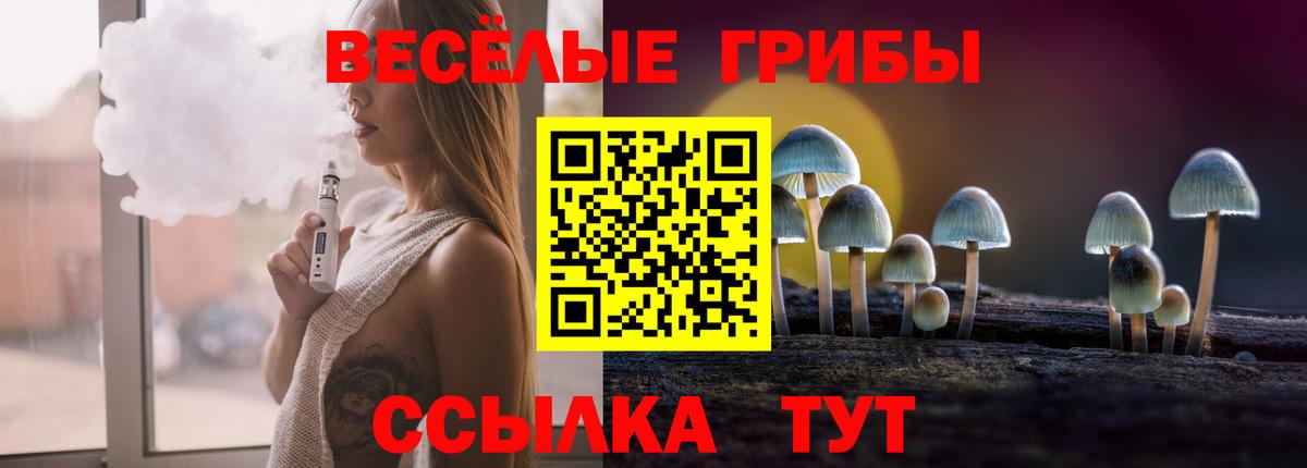 Псилоцибиновые грибы GOLDEN TEACHER Моздок