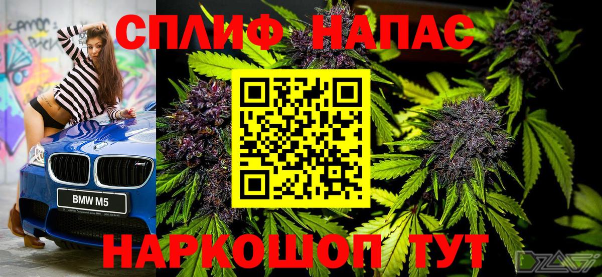 Канабис семена Моздок